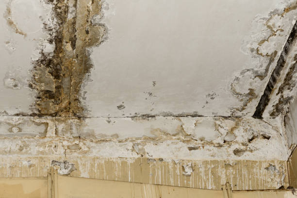 Babbitt, MN Water damage restoration Company